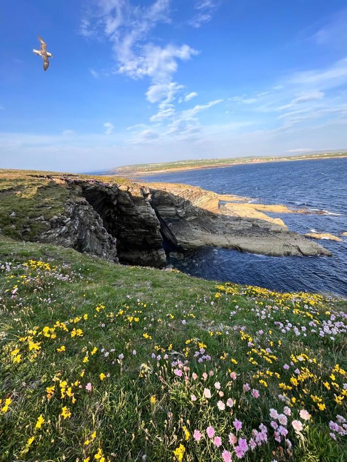 Peedie Cott Self-Catering, Orkney Saint Margarets Hope 外观 照片