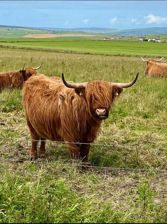 Peedie Cott Self-Catering, Orkney Saint Margarets Hope 外观 照片